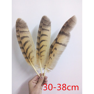 New! sale high quality owl feathers 10 pcs / lot, 12-15 