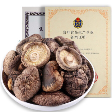 Natural wild Mushroom Excellent quality no additions dible Fungi Mushrooms Dried Shiitake Mushroom Dried Mushrooms Free shippin