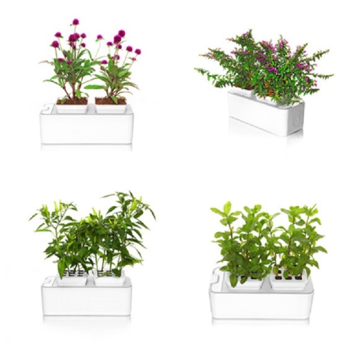 Indoor Smart Mini Garden Hydroponic Flower Manufacturers and Indoor Smart Mini Garden Hydroponic Flower Suppliers
