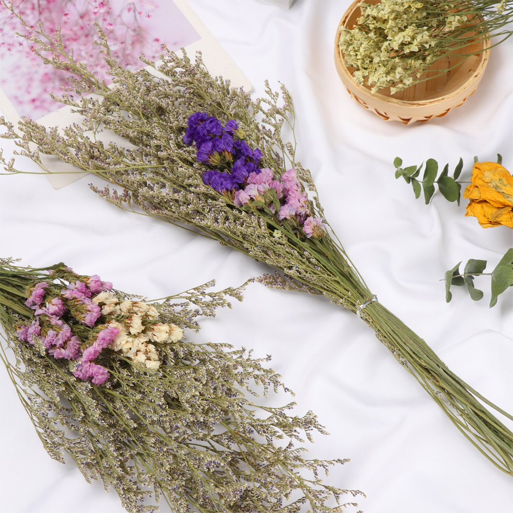 1 Bundle Natural Dried Flower Wedding Floral Arrangement Limonium Grass Party Supplies Eucalyptus Leaf Forget-me-noton