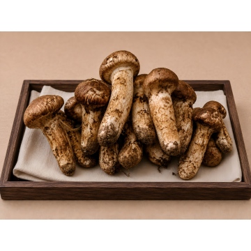 Matsutake Mushroom Foods