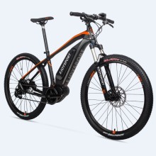 Customized Electric Bike For Teenager