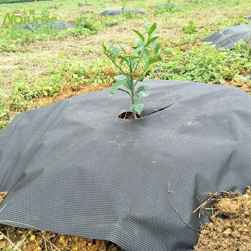 50cm*10m PP Geotextile Anti-aging Gardening Fabric Weed-proof Cloth Weeding Cloth Black Sun-proof Cloth 60g