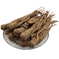 Angelicae Sinensis Radix / Chinese Angelica Root (DANG GUI) Dry