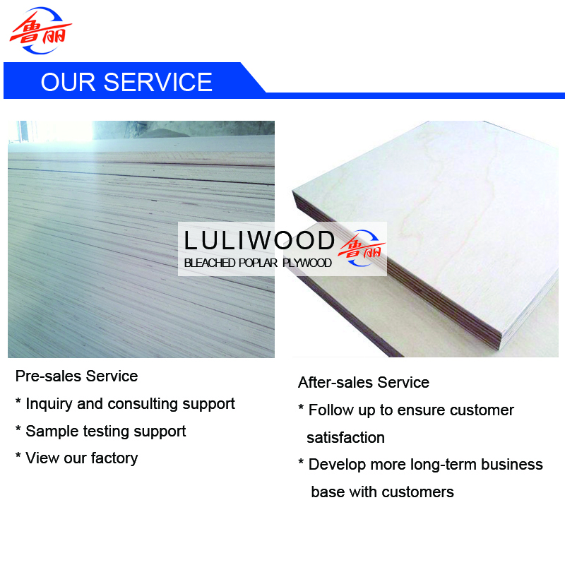bleached poplar commercial plywood service bleached poplar commercial plywood service