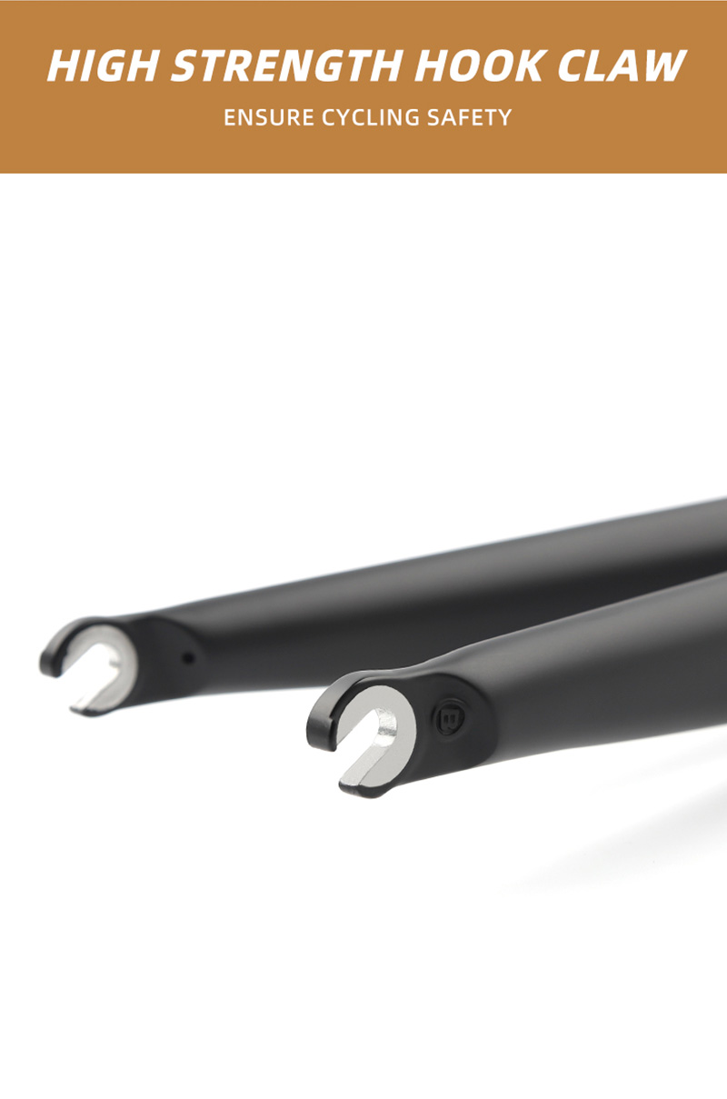 Bike Fork Carbon