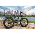 AOSTIRMOTOR Electric Bike 750W 26 Inch 4.0 Fat tire Powerful Mountain Bicycle 48V 13Ah Lithium Battery City Beach Ebike