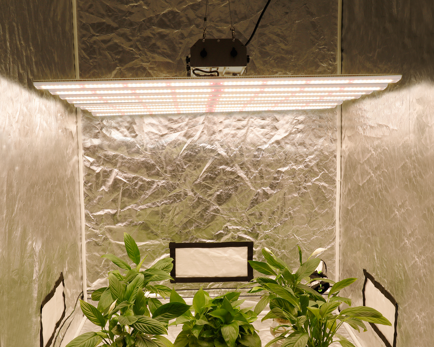 LED Grow Light