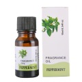 100% Natural Aromatherapy Fragrance Essential Oil Rosemary Geranium Eucalyptus Ylang Relax Fragrance Oil Diffuser Burner