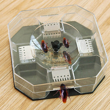 Cockroach Trap with Baits Plastic Reusable Non-Toxic Bug Roach Catcher Insect Pest Killer