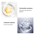 Carnosine Lactobionate Serum Moisturizing Tighten Skin Shrinking Pores Anti-aging Skin Care Essence