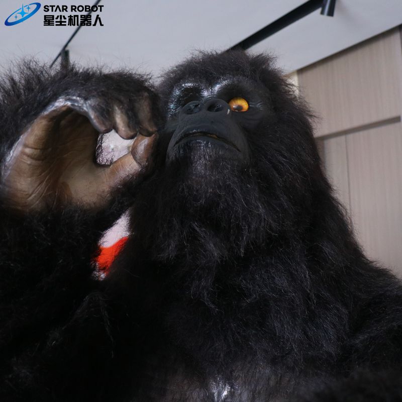 gorilla5