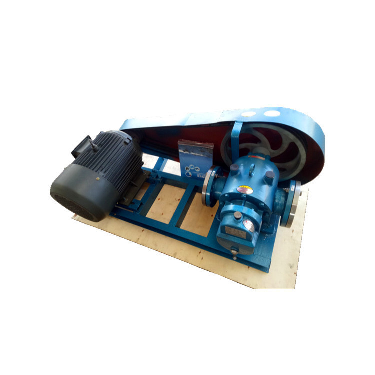 Roots Oil Pump High Viscosity Liquid Transfer Pump Insulated Rotor Pump Belt Connection2