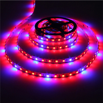 LED Plant Grow Lights 5M SMD 5050 DC12V Flexible LED Grow Strip Light for Greenhouse Hydroponics Plant Vegetable