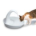 Swan Pet Drinking Fountain Pet Drinking fountain quiet Automatic Electronic Water Fountain For Cat And Dog Us Plug