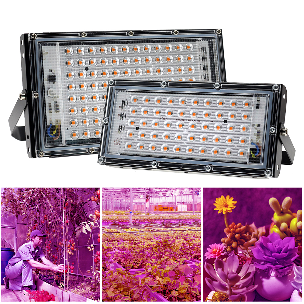 50W 100W LED Grow Light Phytolamp for Plants AC 220V Full Spectrum LED Floodlight for Flowers Seedlings Plant Growing Phyto Lamp