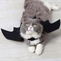 Funny Cats Cosplay Costume Halloween Pet Bat Wings Cat Bat Costume Fit Party Dogs Cats Playing Pet Accessories