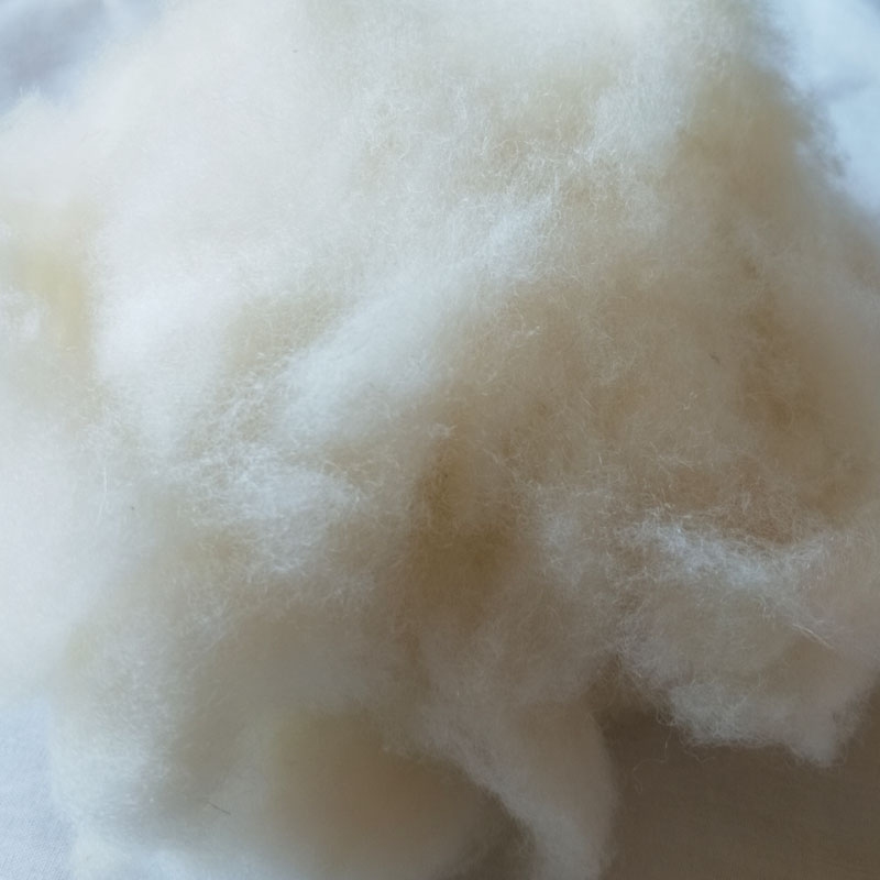 WFPFBEC Wool Filling Fiber Material 100g For Toys Pillow Diy Wool Felt polyester filling fiber can needle felt and wet felt