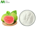 https://www.bossgoo.com/product-detail/quality-guarateed-guava-juice-powder-62443498.html