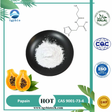 Food Grade White Powder Organic Papain Powder