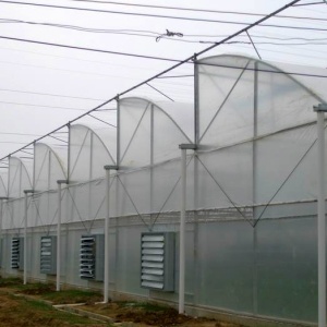 Agriculture Multi Span Film Greenhouse