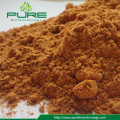 High Quality GMP Freeze dried Goji berry Powder