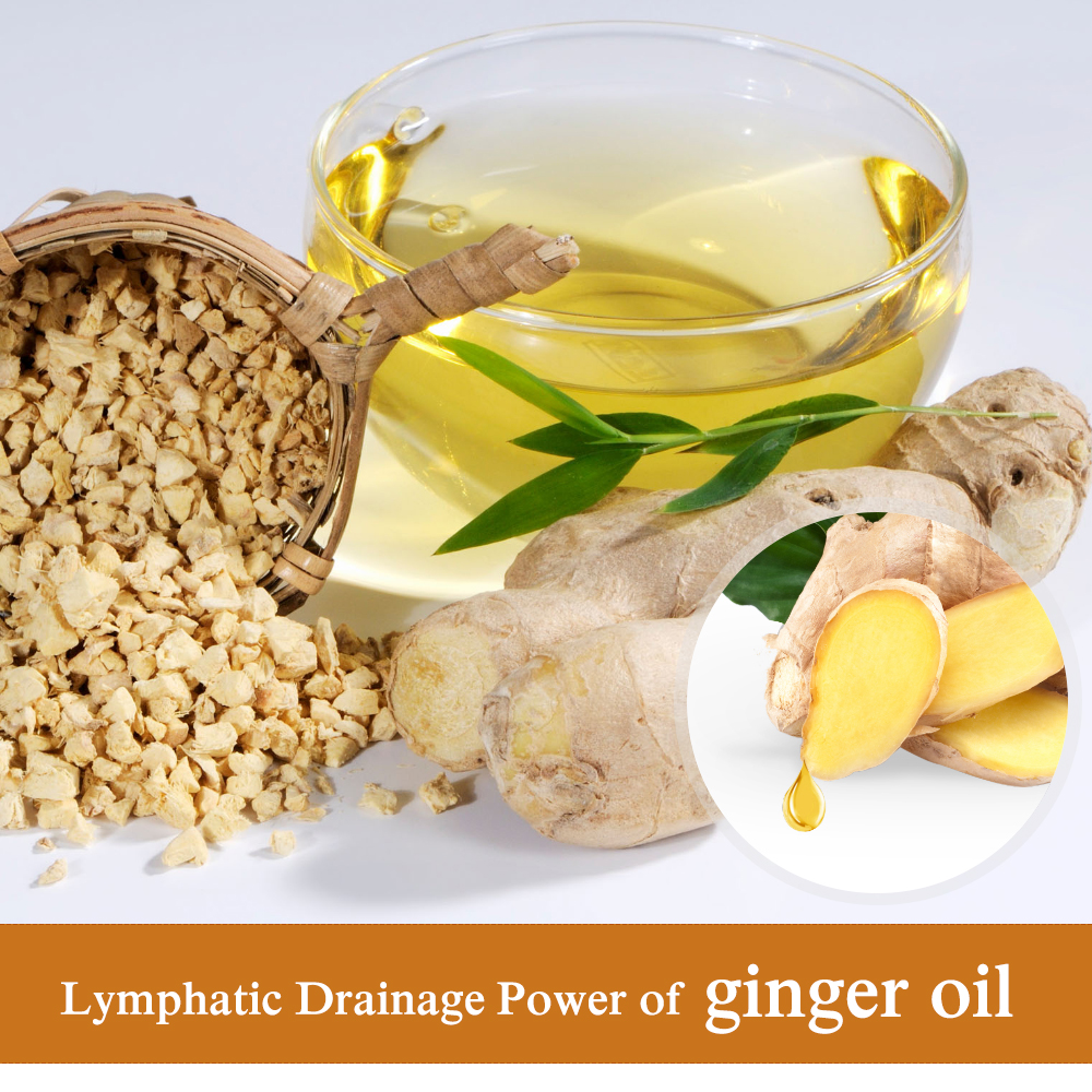 Natural Plant Therapy Lymphatic Drainage Ginger Oil Natural Ginger Massage Oil Body Care Ship For Drop Shipping From USA (2)