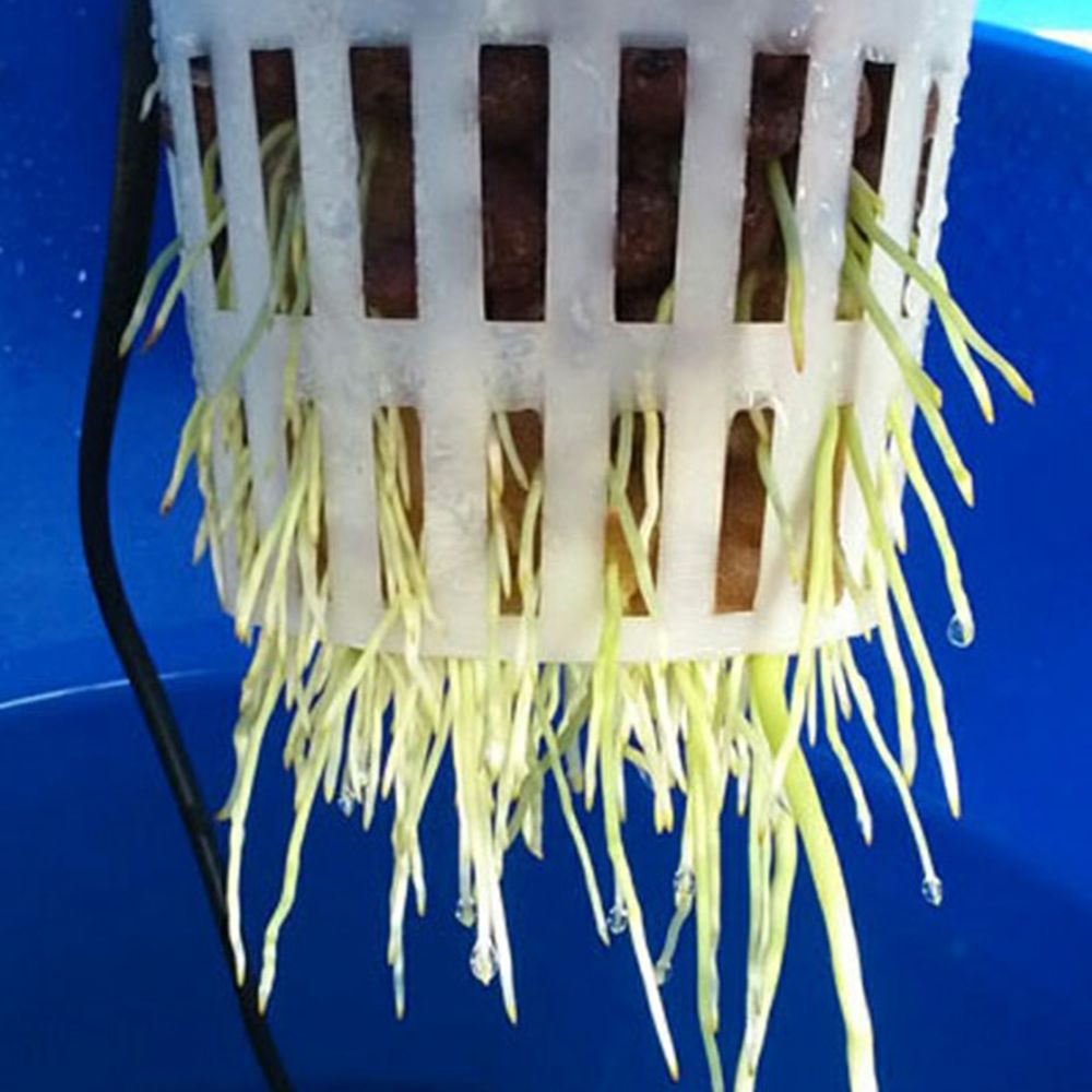 PP Plastic Nursery Net Cup 108*98mm Heavy Duty Hydroponic Mesh Pot Net Cup Basket Vegetable Plant Soilless Cultivation Basket