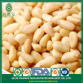 Natrual Organic Korean pine nut kernels