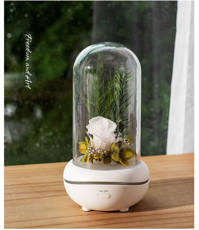Crystal Waterless Aroma Diffuser