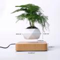 Floating Geometric Bonsai Pot Rotation Planters Magnetic Levitation Flower Pot Home Office Desk Decor Creative Birthday Gift