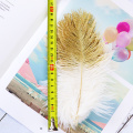 Glitter Powder Ostrich Feathers 6-8 inches Ostrich Plumes for Wedding Home Party Decoration Crafts 10 Pcs / Lot