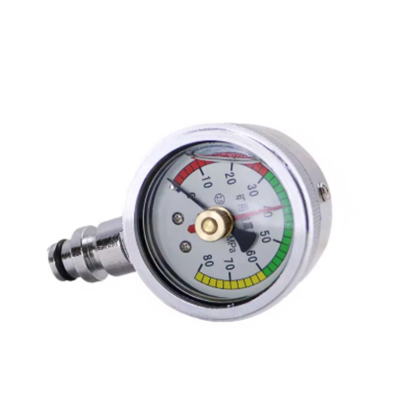 Double Needle Pressure Gauge