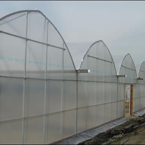 Multi-Span Hydroponic Tunnel Film Greenhouse Manufacturers and Multi-Span Hydroponic Tunnel Film Greenhouse Suppliers