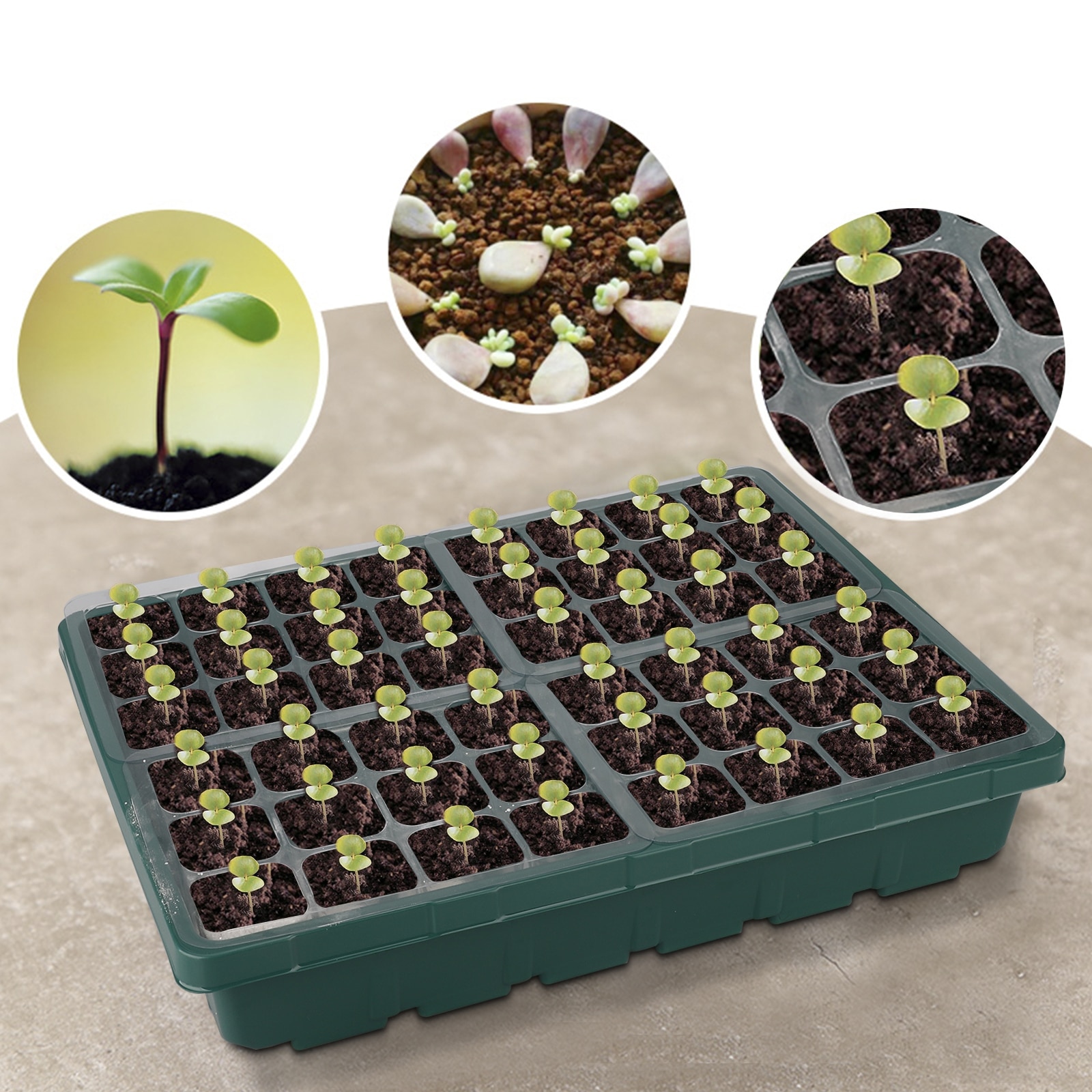 Plant Pot Greenhouse Supply Peat Pots Organic Seedling Pots Garden Plant Pot 48 Hole For Garden Yard Tray Seedling Tray Tray