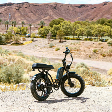 Offroad Mountain Electric E-Bike