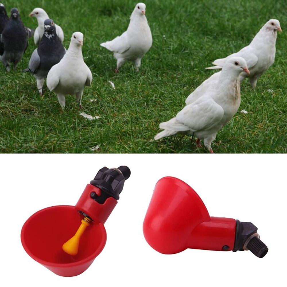 5/10Pcs Feed Automatic Bird Coop Poultry Chicken Fowl Drinker Water Drinking Cups Livestock Drinking Cup Feeding Supplies