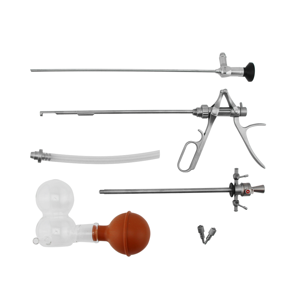 Punch lithoclast  set