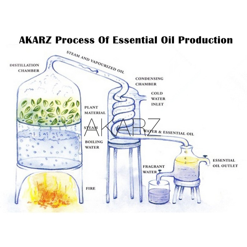 AKARZ Famous brand natural aromatherapy castor oil Calm Nourish hair Prevent skin aging castor essential oil