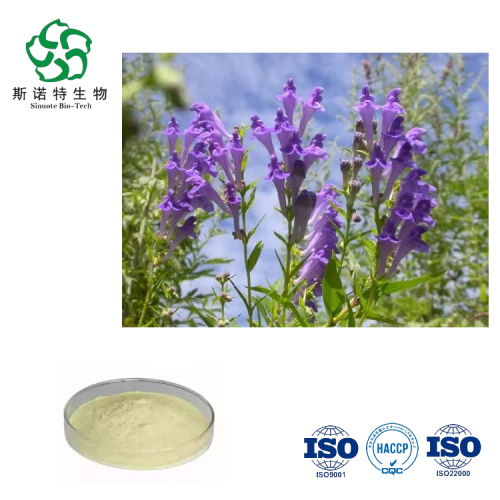 Supply Scutellaria Baicalensis Root Extract Baicalin for Sale, Offer Supply Scutellaria Baicalensis Root Extract Baicalin