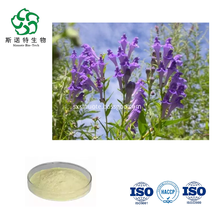 Scutellaria Baicalensis Root Extract