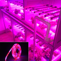 5m LED Grow Lights 5050 LED Strip tape DC12V Red Blue 3:1 4:1 5:1 60leds/m for Flower seeds indoor Greenhouse Hydroponic Plant