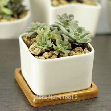 Simple White Square Large Ceramic Flower Pots with Bamboo Pot Tray Cute Desktop Decoration Succulent Planter Pottery Bonsai Pot