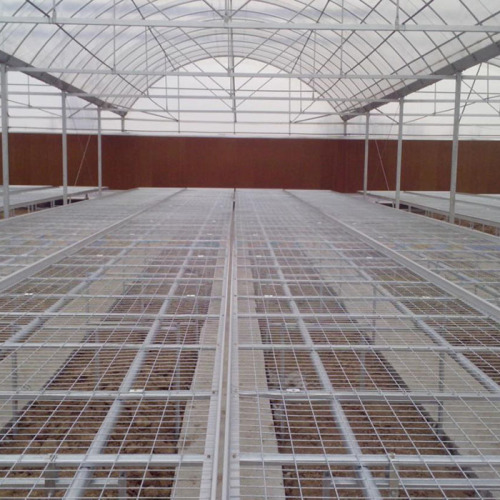 Greenhouse Rolling Bench for seedling nursery Manufacturers and Greenhouse Rolling Bench for seedling nursery Suppliers