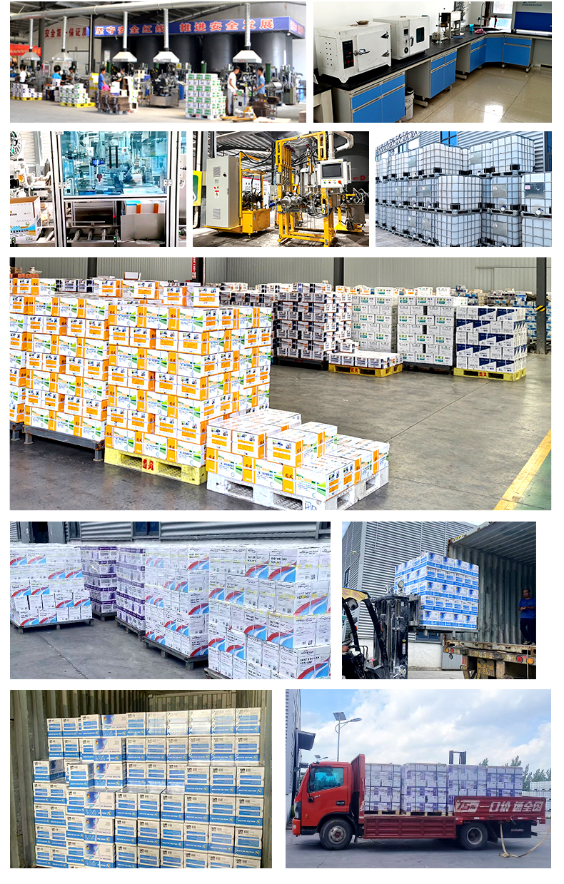 GP DP-Aug 30,2025 (12)