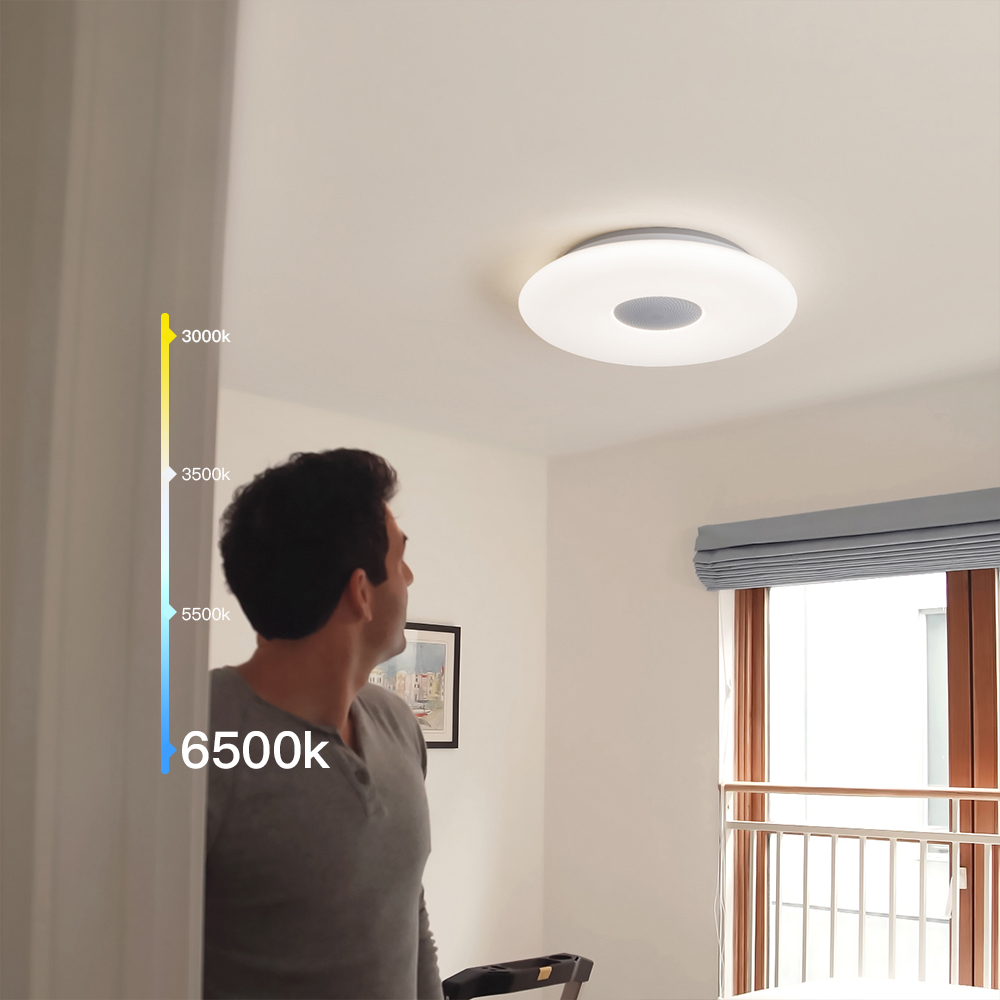 LEDVAS Smart Ceiling Lights WIFI Voice Control APP Control RGB Dimming Bluetooth Speaker Ceiling Lamp Kitchen living room