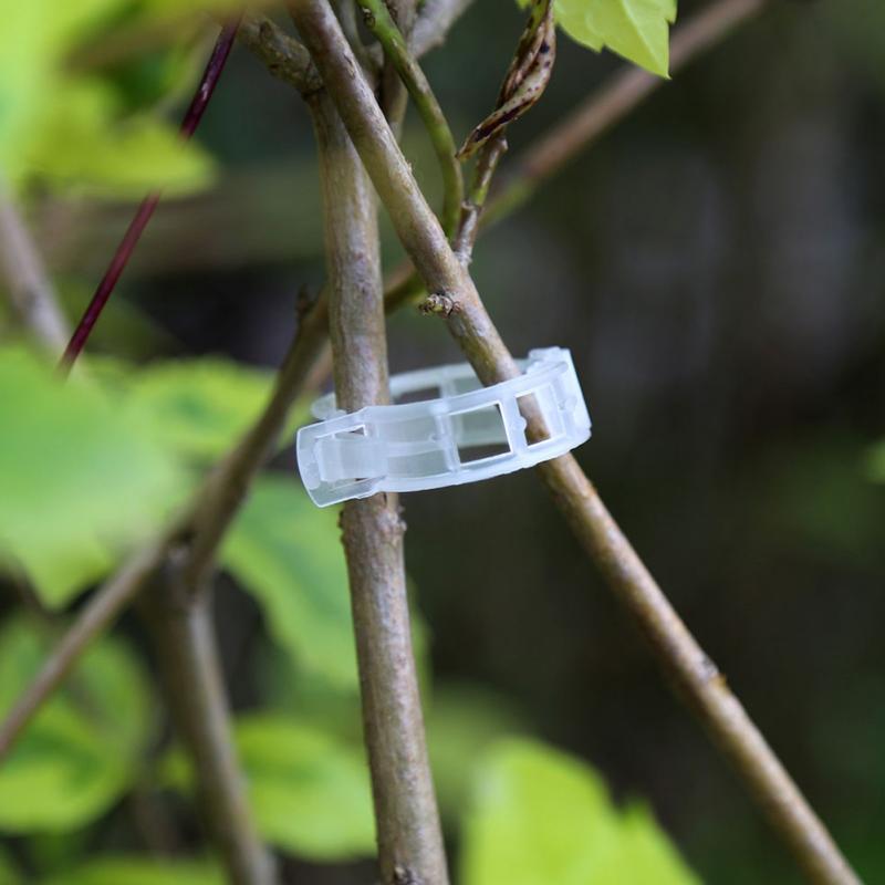 Plastic Plant Support Clips 50/100Pcs Vine Tomato Stem Vegetable Fixing Clip Garden Greenhouse Accessories 30mm Plant Clips