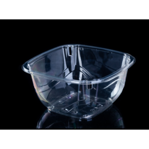 High Quality Cherry Tomato Tray