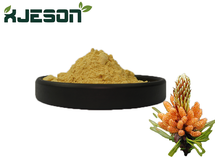 Pine Pollen Powder