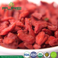 Organic Dried Goji Berry with EU NOP Certified